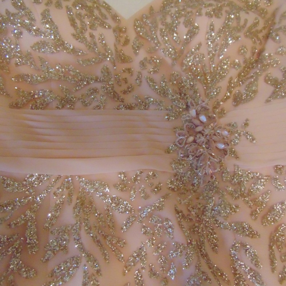 Mother of the Bride peach Chiffon gown by Cameron Blake - Picture 5 of 16
